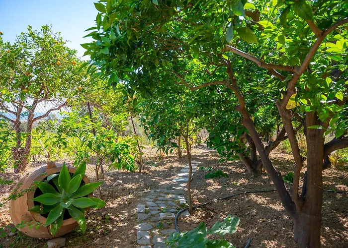 Marianthi's Old * Chersonissos